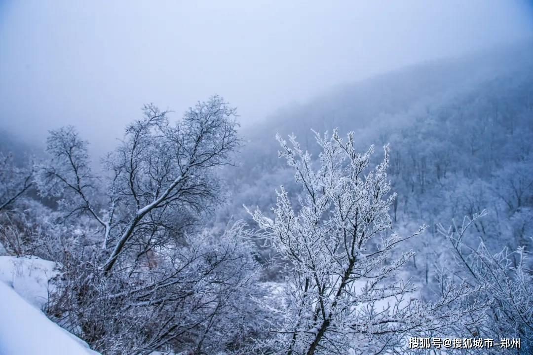 逃离椰子岛